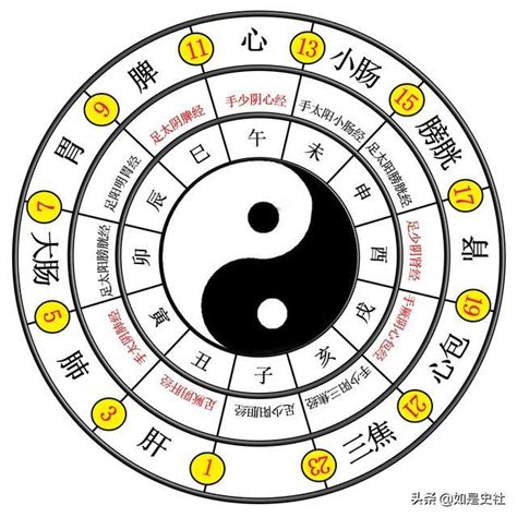 老陰|易經入門：太極、兩儀、四象、八卦是什麼意思？